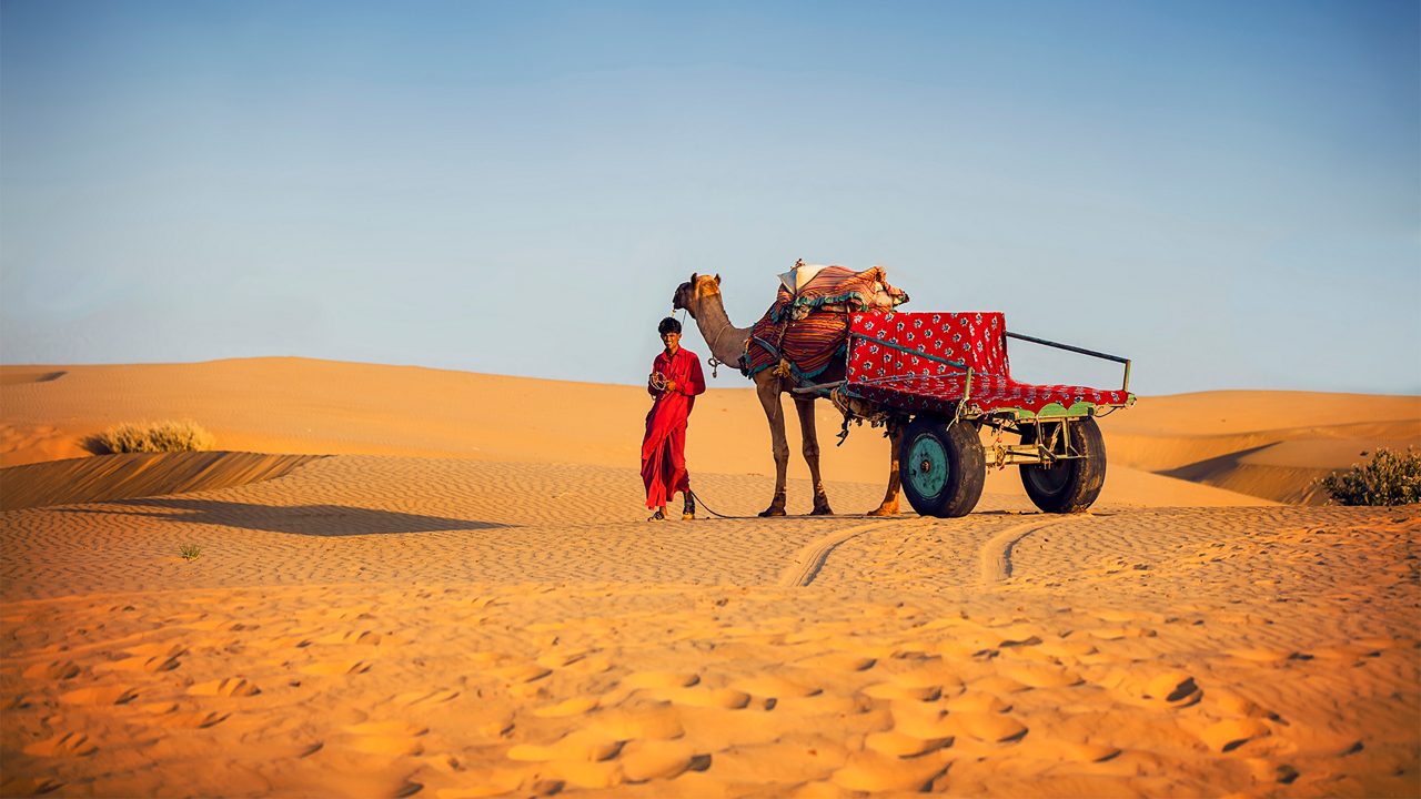 Ready to experience the journey?